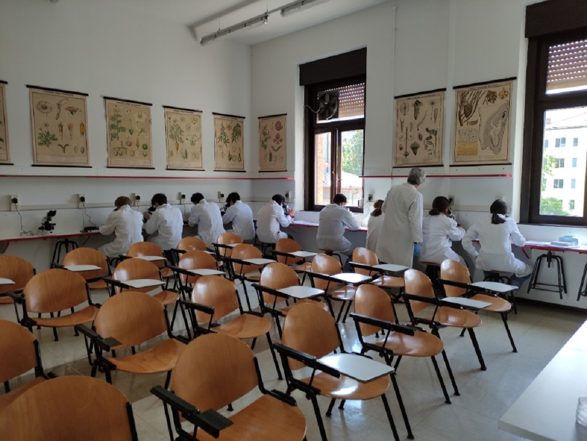 Studenti microscopia 1