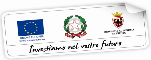 fse tirocini